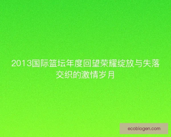 2013国际篮坛年度回望荣耀绽放与失落交织的激情岁月