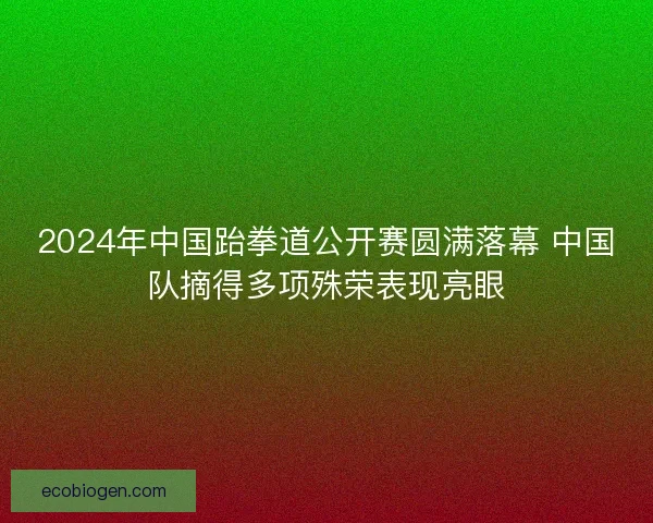 2024年中国跆拳道公开赛圆满落幕 中国队摘得多项殊荣表现亮眼